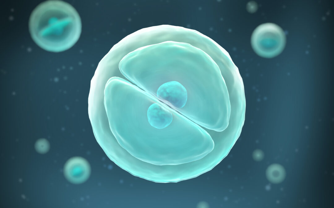 ПГД (предимплантационная диагностика) эмбрионов